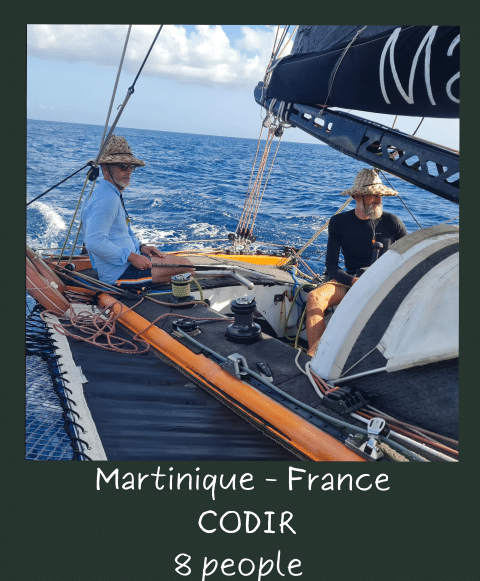 activity image 1