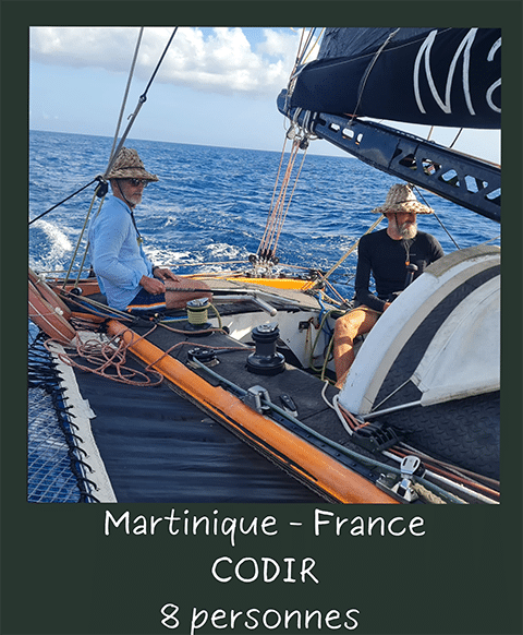activity image 1